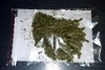 marihuana9.jpg