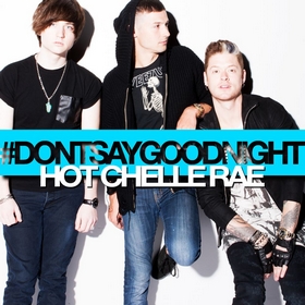 hot_chelle_rae_dont_say_goodnight_single_cover.jpg