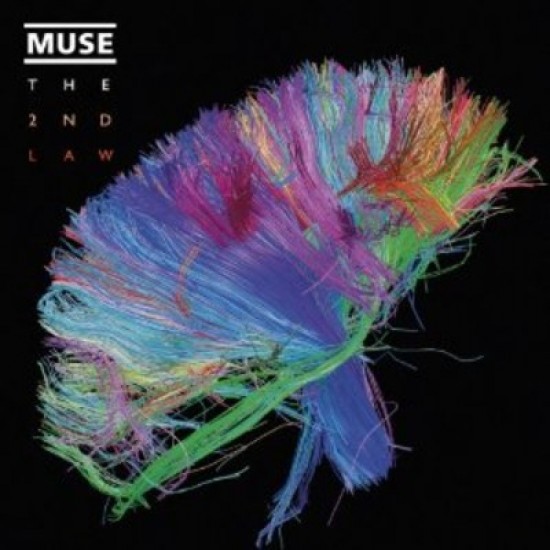 muse-madness.jpeg