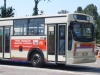 thumb_autobus