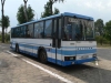 thumb_autobus