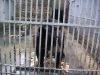 zoo