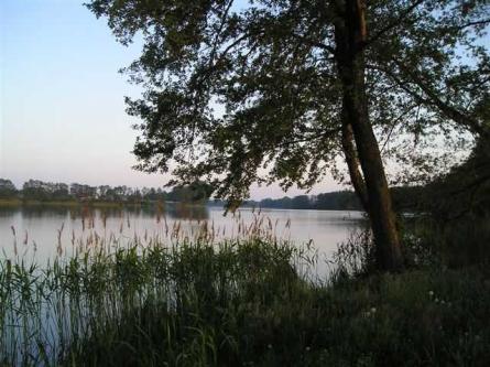 sylwia_majchrzak_iif_iilo_w_lesznie