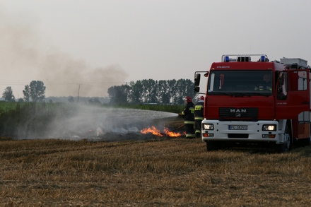 pozokrzei1