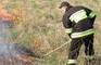 thumb_0428_trawy_plona.jpg