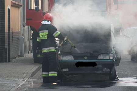 poar_poloneza.jpg
