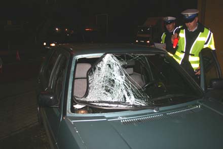 vw1.jpg