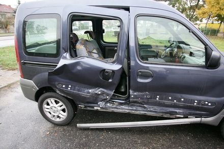 kangoo1.jpg