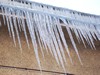 100_2773.jpg