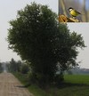 ekologiczna_sciezka.jpg