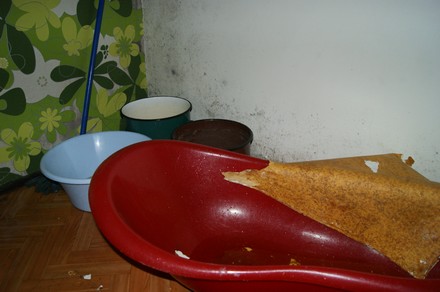 zalane2.jpg