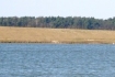 thumb_zalew2.jpg