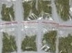marihuana7.jpg