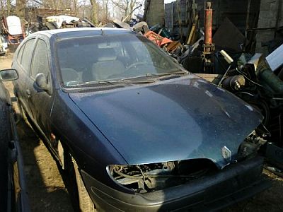 0202_megane_1.jpg