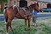 0525_bukowiec.jpg