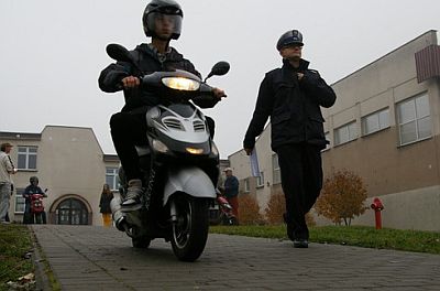 egz5.jpg