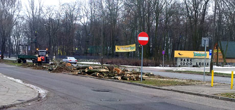 20121221_120355.jpg
