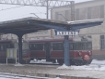 strajkkol2501.jpg