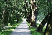 0516_park.jpg