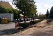 0828_wyzwolenia.jpg