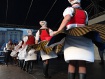 mdmf2013.jpg