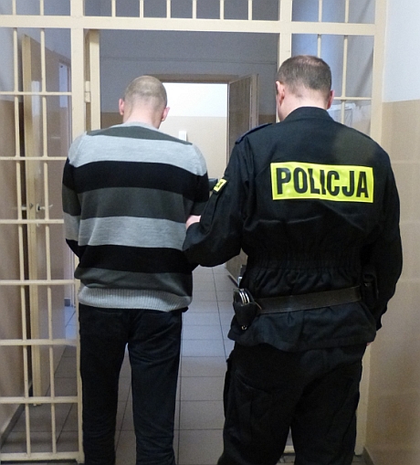falszywki3.jpg