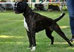 0914ziva105.jpg