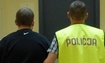 dziupla105.jpg