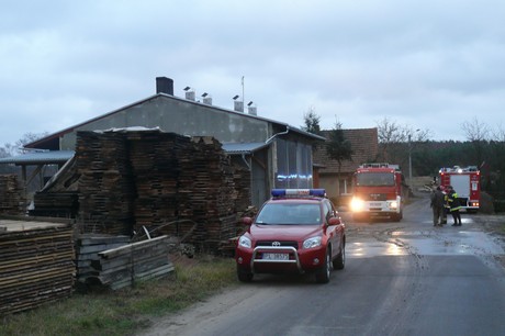 tartak1.jpg