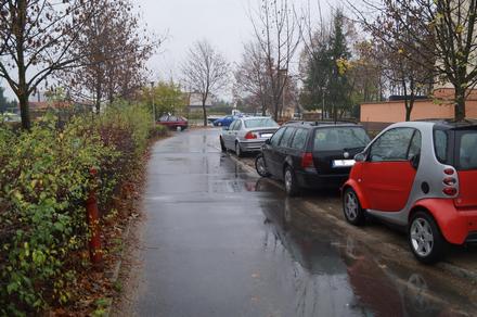 dsc01408.jpg