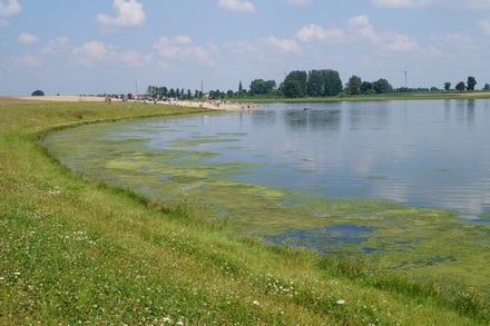 dsc02612.jpg