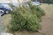 dsc04092.jpg