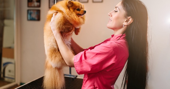 groomer.jpg