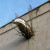 Zdj�cia czytelnik�w do artyku�u