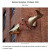 Zdj�cia czytelnik�w do artyku�u