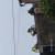 Zdj�cia czytelnik�w do artyku�u: Wiatr uszkodzi� dach ko�cio�a