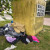 Zdj�cia czytelnik�w do artyku�u: Biodegradowalne w workach? Obywatel: tak, KZGRL: w �adnym razie
