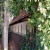 Zdj�cia czytelnik�w do artyku�u: Domek m�ynarza wr�ci na teren przy wiatraku